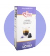 Capsule Compatibili Nespresso Cicoria, Box da 10