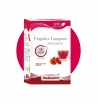 Cialde in Filtro Fragola e Lampone Bio Sandemetrio, Box da 18