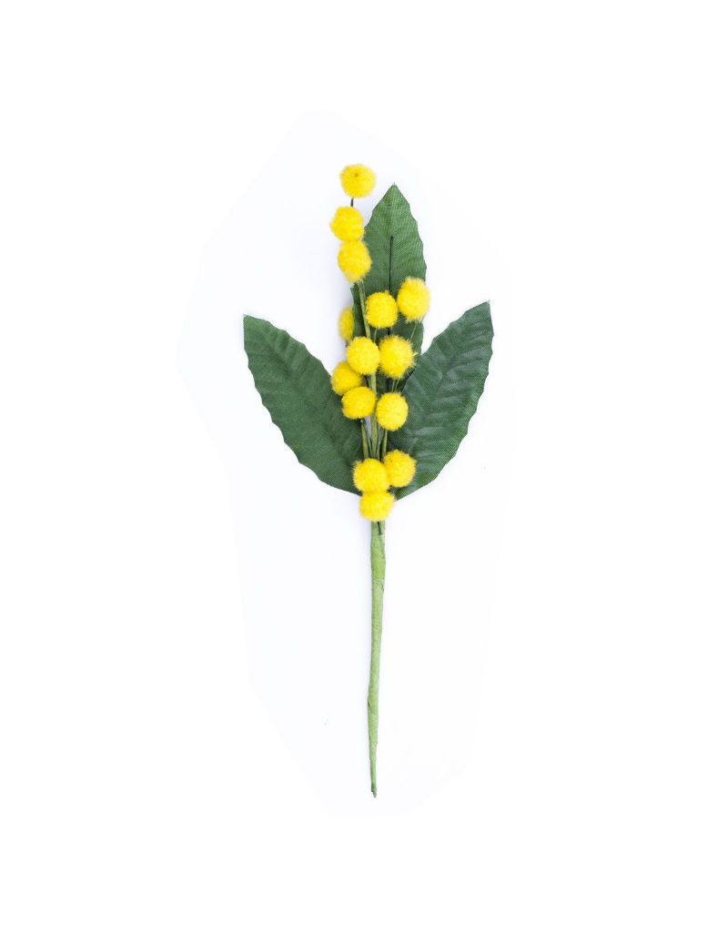 Pick Mimosa Per Decorazioni Regalo