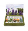 Tea Forte, Tisane Miste Alla Frutta BIO