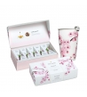 Box Tea Forte, Hanami