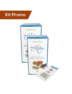 Tisana "Mago Merlino" Regina di Fiori, 2 box