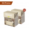 Box 6 astucci Maya fave di cacao e zenzero