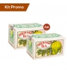Box 4 scatoline Tè aromatizzato al frutto della passione