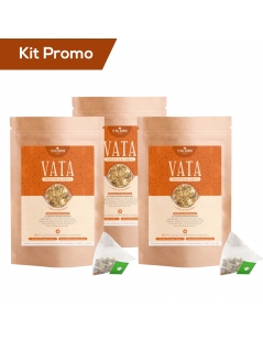 Kit 3 doypack Miscela di Tè Bio Speziato, Vata
