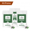 Kit 3 doypack tè verde zenzero e limone in filtro