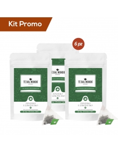 Kit 6 doypack tè verde zenzero e limone in filtro