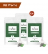 Kit 6 doypack tè verde zenzero e limone in filtro