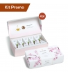 Box 4 astucci Tea Forte, Collezione Tè Hanami Bio