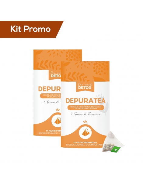 Box 2 Paper Tube tisana detox depurativa in filtri piramidali