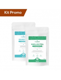 Box 2 doypack tisana detox snellente e diuretica