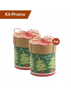 Box 4 astucci biscotti cioccolato e arancia