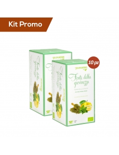 Kit 10 astucci Tisana Mate, Menta e Limone Bio, Regina di fiori