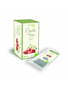 Tisana Casetta Del Bosco Camomilla e Frutti Rossi Bio