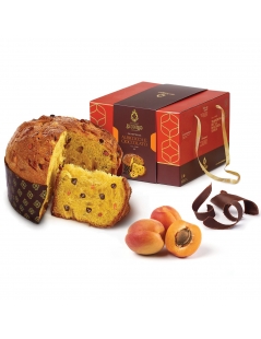 Panettone Albicocca e Cioccolato, Di Iorio