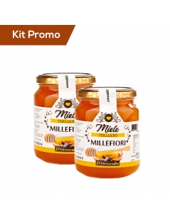 Kit 2 vasetti di Miele Millefiori puro