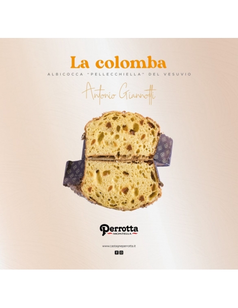Colomba artigianale con albicocca Perrotta