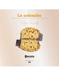 Colomba artigianale con albicocca Perrotta