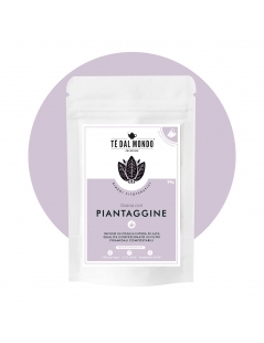 Tisana Fitoterapica con Piantaggine, Tè dal Mondo