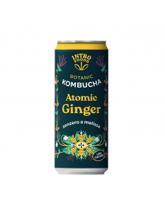 Kombucha Zenzero e Melissa in Lattina