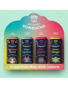 Set Kombucha in vari gusti con espositore