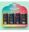 Set Kombucha in vari gusti con espositore
