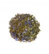 Tè Verde, Jasmine