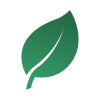 Tè verde