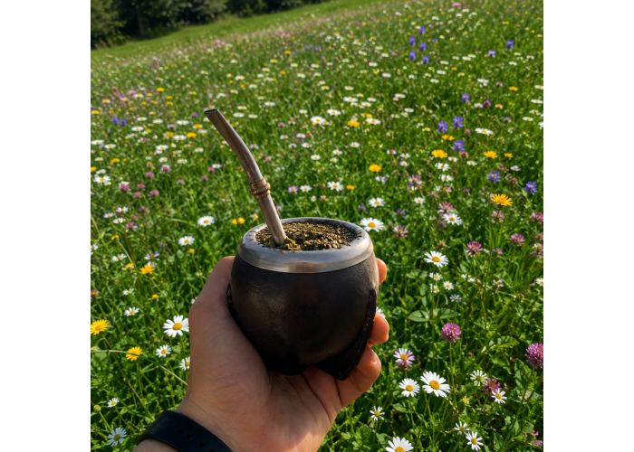 Drink yerba mate dalla ricetta originale alle rivisitazioni