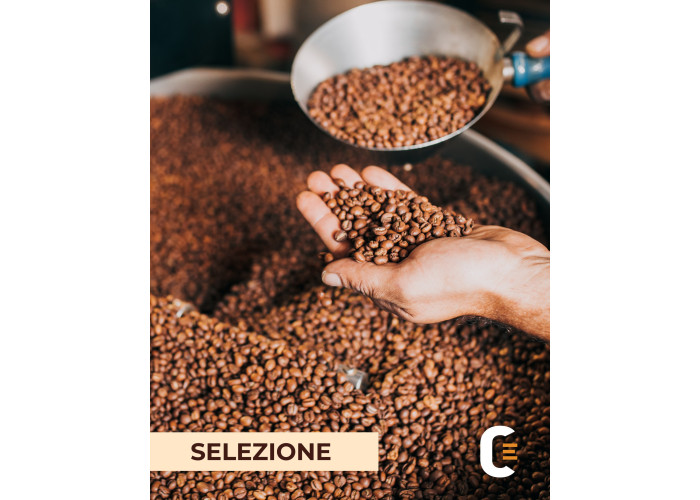 Qual'è il migliore caffè in grani? Guida all'acquisto